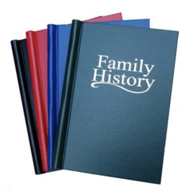 Springback Binder