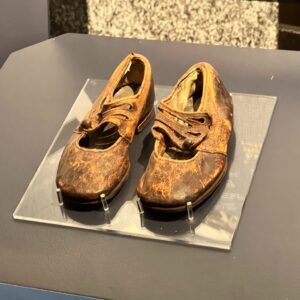 titanic goodwin family shoes
