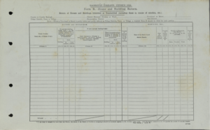 The 1926 Irish Census